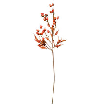 Load image into Gallery viewer, Faux Rose Hip Stem
