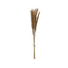 Load image into Gallery viewer, Dried Natural Fountain Grass Bunch
